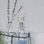 Mindfulness for Beginners: How to Cultivate Gratitude